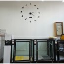 애견이야기 이미지