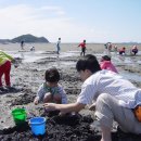 서해바다 이미지