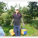 풍천대봉감농원 이미지