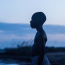 문라이트 이미지