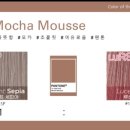 파랑새 미용재료 이미지