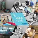 성수정형외과의원 이미지