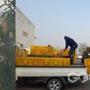 충북원예농협가공공장 이미지