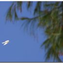 산타로사 이미지