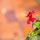 자매공원 이미지