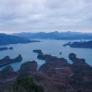 게으른 악어 이미지