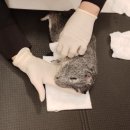 몽몽이엠파크 이미지