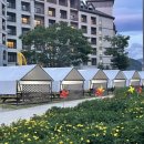 비비당구장 이미지