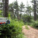 칠천도편백숲 이미지