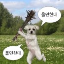 개나리식당 | 4月 봄이 바쁘십니다.