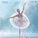 서울시티발레단 동화발레극 ’백조의 호수’ | 백조의 호수 정읍사예술회관에서 만나요