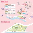 지에스25광양매화 | [전남 광양] 2026년 3월 13일 ~ 3월 22일, 제 25회 광양매화축제 후기