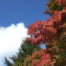 추풍령(부산) 이미지