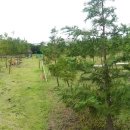 숲속이레어린이집 이미지