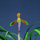 구미디지털전자산업관(구미코) 이미지