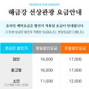 도장포유람선