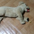 멍멍까까 이미지