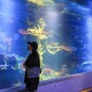 사천교육지원청 화장실 | 추위 + 실내 + 힐링’ 조합, 사천 아라마루 아쿠아리움