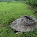 중원산업로 | 경주 사천왕사지 귀부(慶州 四天王寺址 龜趺)