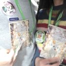 ㈜이스틸 | 실내동물원 주렁주렁 동탄점 내돈내산 솔직후기