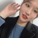 애드이즈