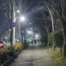 별밤미술관 in 신창 이미지