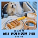 온바 | 천호 애견동반 카페 버터온 천호동카페 실내 반려견동반 후기