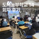 도시텃밭 정원을 가꾸는 유기농기능사 | 도시농부학교 14회차 후기, 밭에 가서 일하지 말고 놀자