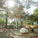 선녀탕집 이미지