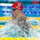 하이캐치 이미지