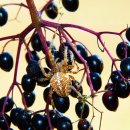 오늘밤에 이미지