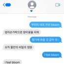 브래쉬