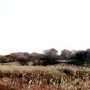 제주돌박물관 이미지