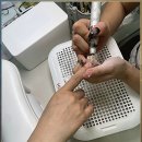 네일은피크닉 | 피크닉 준비하면서 네일 리마인드 들른 후기