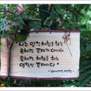 004-조리-004 이미지