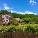 [경상남도 창녕군] 우포늪체험장