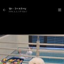 부르주화 펫 이미지