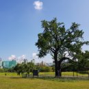 참약사 햇살약국 이미지