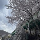 정선 사북시장 이미지