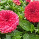 THE채움공인중개사사무소 이미지