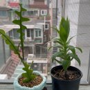 국민건강진흥원 | [한국임업진흥원 국민참여혁신단 8기] 2025 우리 임산물 숲푸드 대축제 : 참여후기