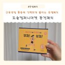 간편하게 붙이는 도솔컴퍼니마켓 온열 동전패치 만족후기