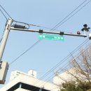 주정차단속-128 이미지