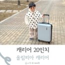 올림피아캐리어 20인치 매트캐리어 사용 후기
