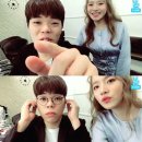 바이브 더 라이브
