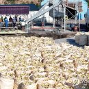 박지호농장 이미지