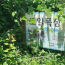 도일목장 이미지