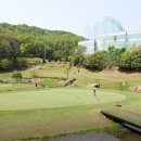 그린피아골프