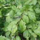 우리들빨래터 이미지