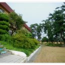 양화초등학교 이미지